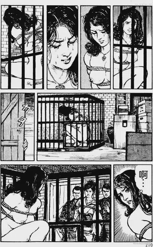 第182頁圖