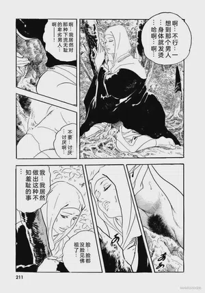 第216頁圖