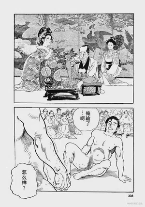 第313頁圖