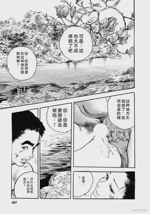 第412頁圖