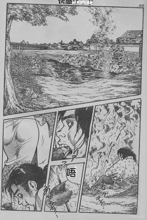 第225頁圖