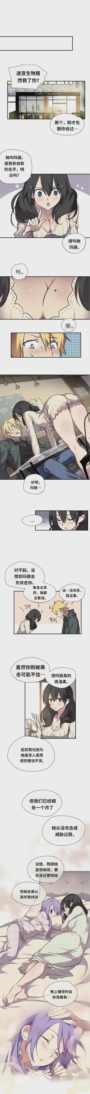 第113頁圖