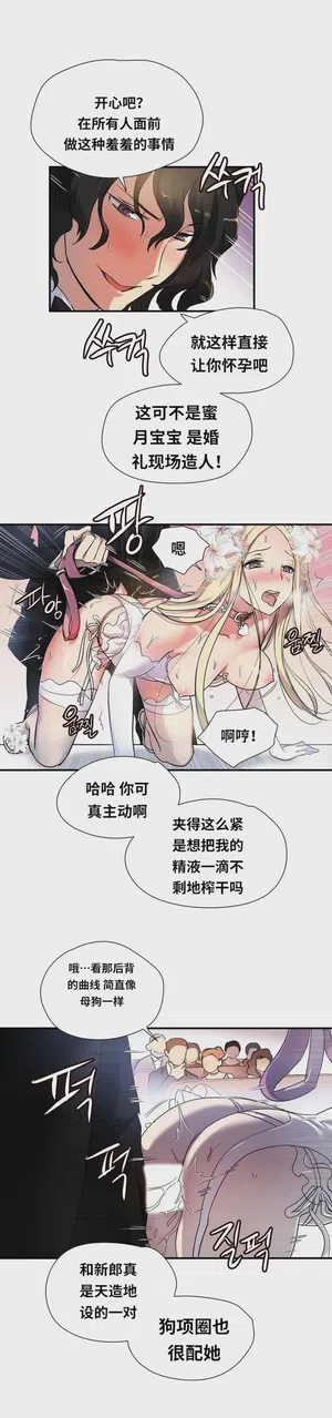 第218頁圖