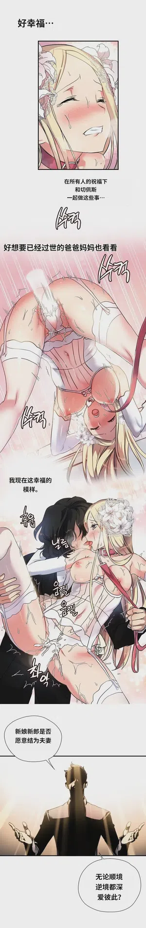 第219頁圖