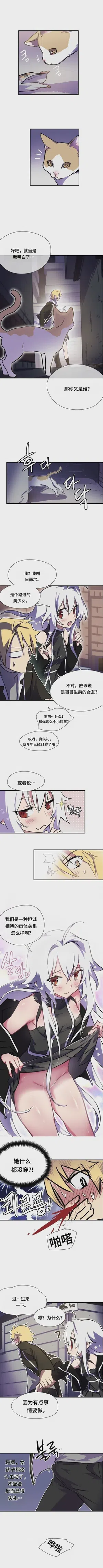 第49頁圖