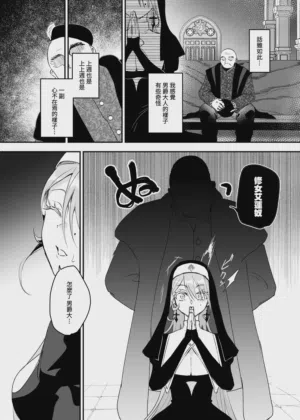 第13页图