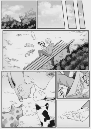 第33頁圖