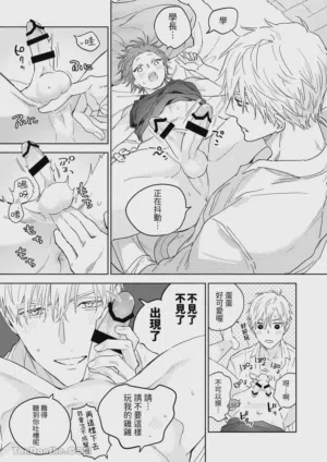第31頁圖