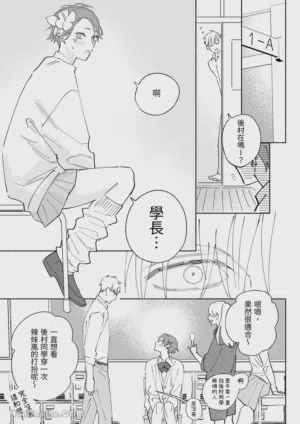 第40頁圖
