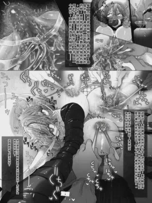 第113頁圖
