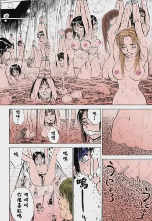 第80頁圖