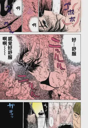 第83頁圖