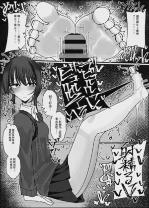 第17页图