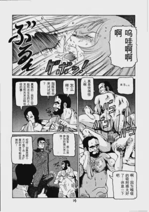 第13頁圖