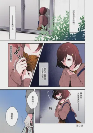 第55页图