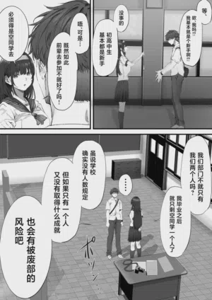 第17页图