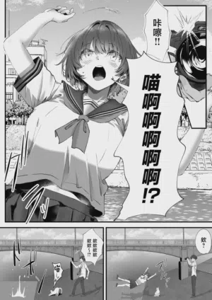 第23页图