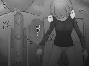 第73页图