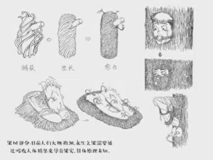 第49頁圖