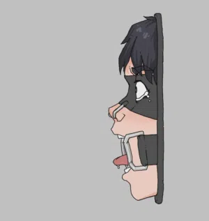 第12页图