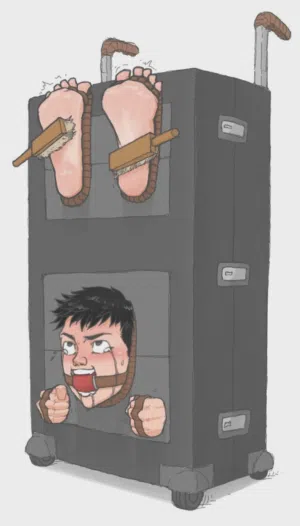 第17页图