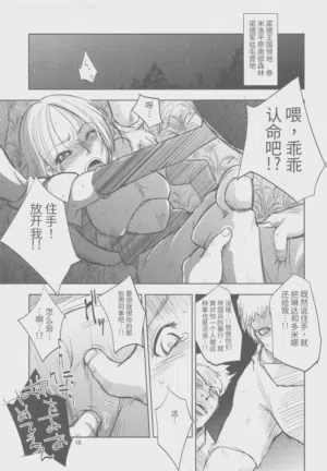 第14页图