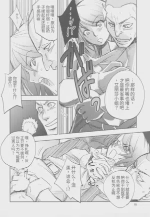 第17页图