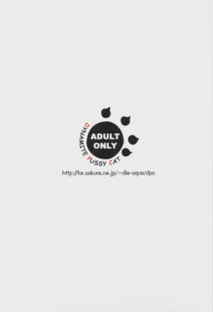 第33页图