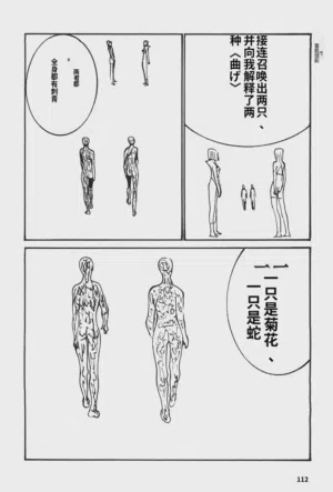 第115頁圖