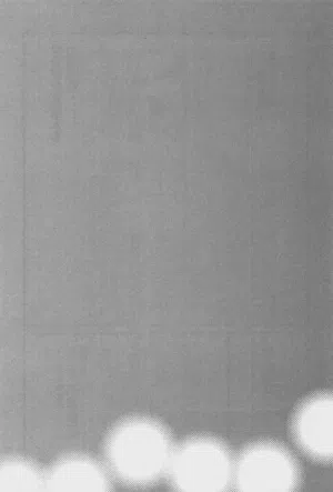 第175頁圖