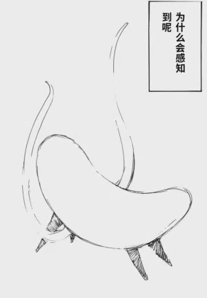 第133頁圖