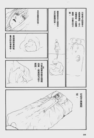 第113頁圖