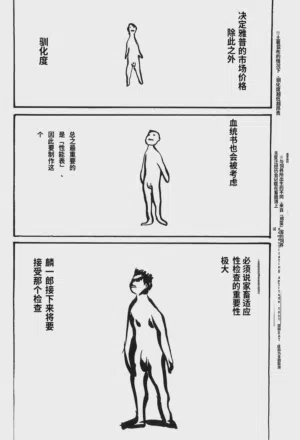 第137頁圖