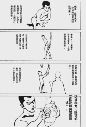 第142頁圖