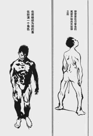 第148頁圖