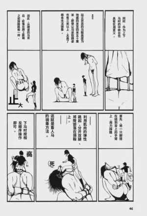 第51頁圖