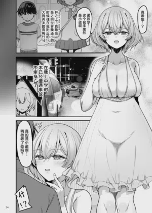 第24页图