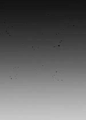 第86頁圖