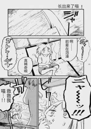 第22页图