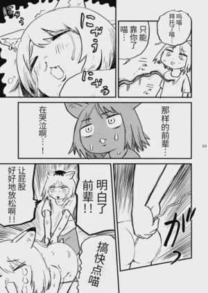 第24页图