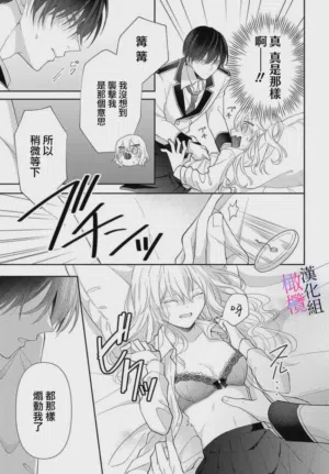 第33页图