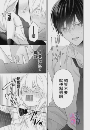 第41页图