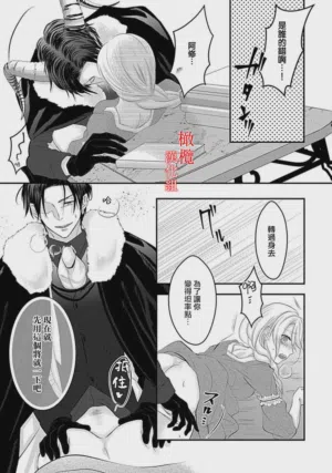第17页图