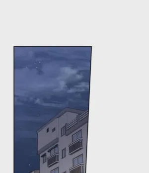 第95頁圖