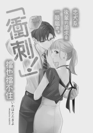 第2頁圖