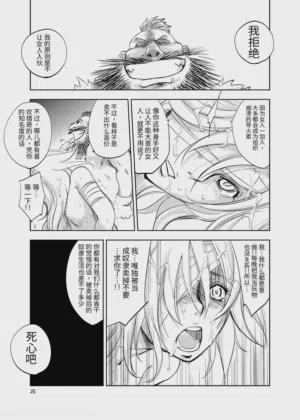 第25頁圖