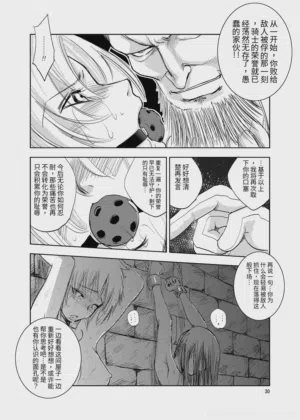 第30頁圖