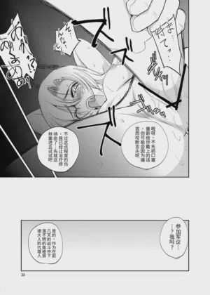 第33頁圖