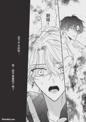 第153頁圖
