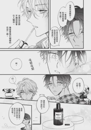 第48頁圖